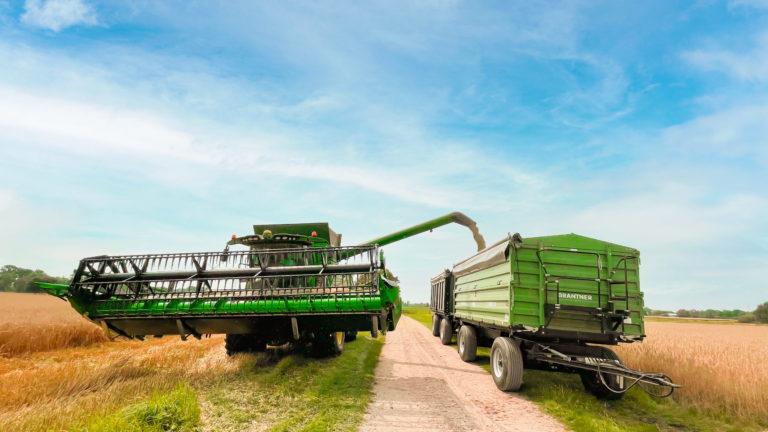 Ein Mähdrescher vom Moorweghof lädt das Getreide in einen Hänger.
